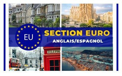 CANDIDATURE SECTION EURO